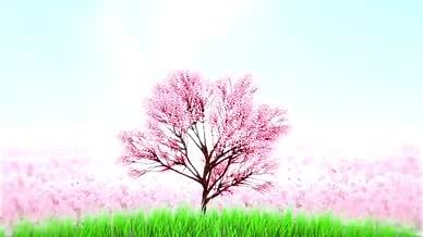 原创唯美樱花树背景视频视频的预览图